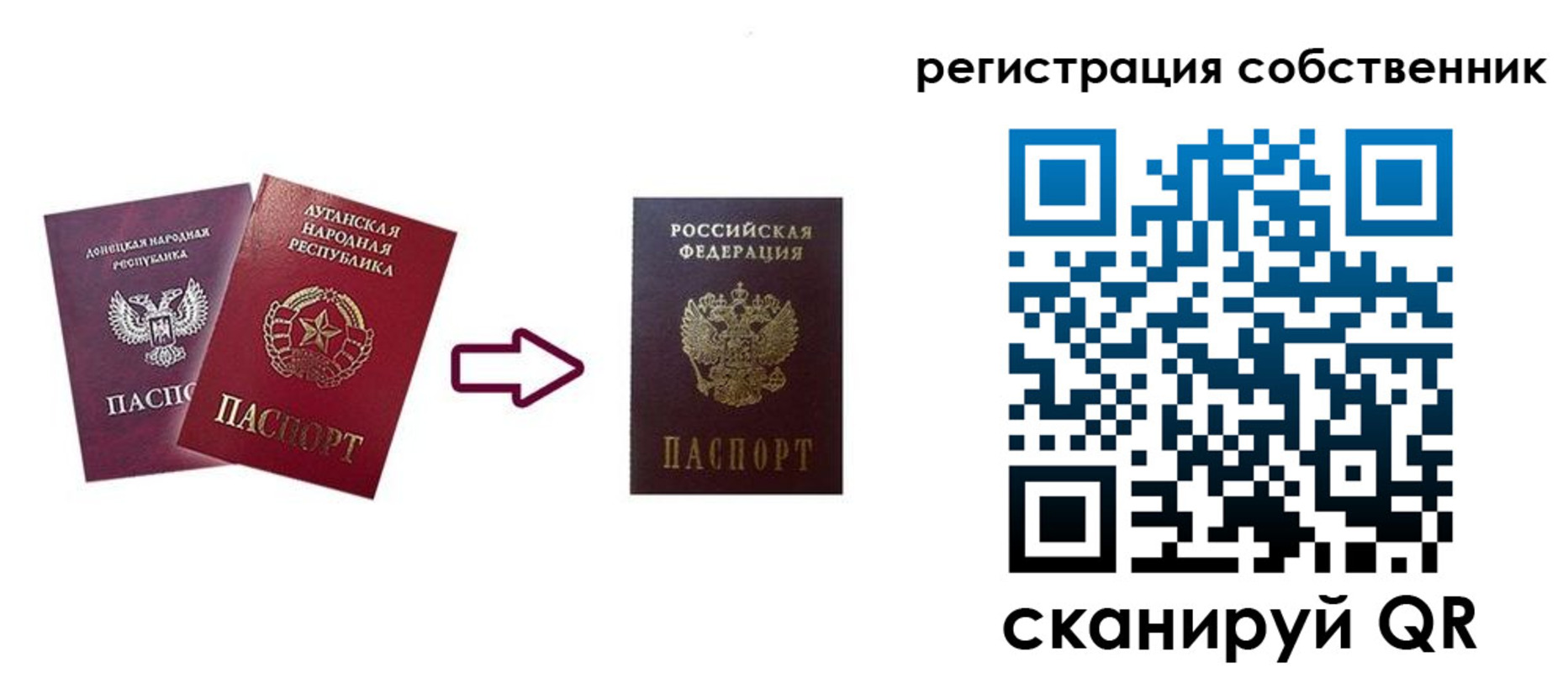 прописка для школы в Коврове